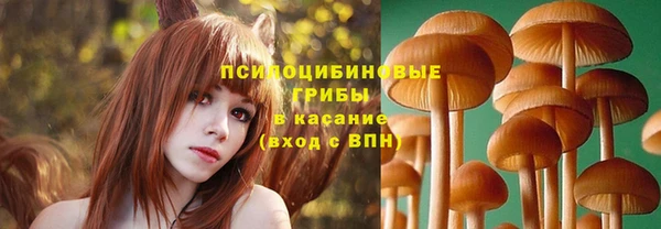 гашиш Белокуриха