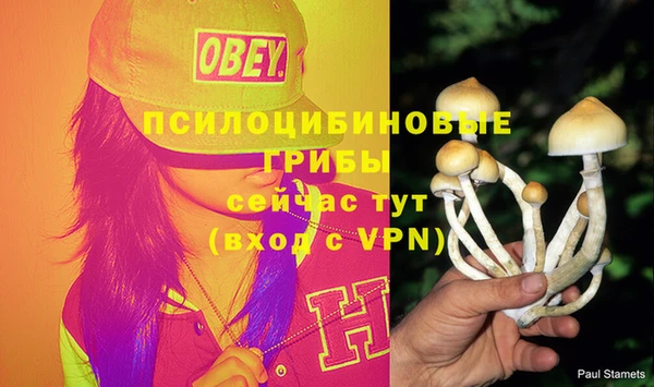 гашиш Белокуриха