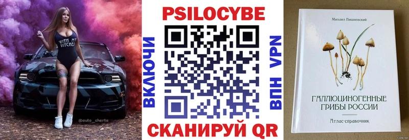купить наркотик Щёкино Галлюциногенные грибы ЛСД